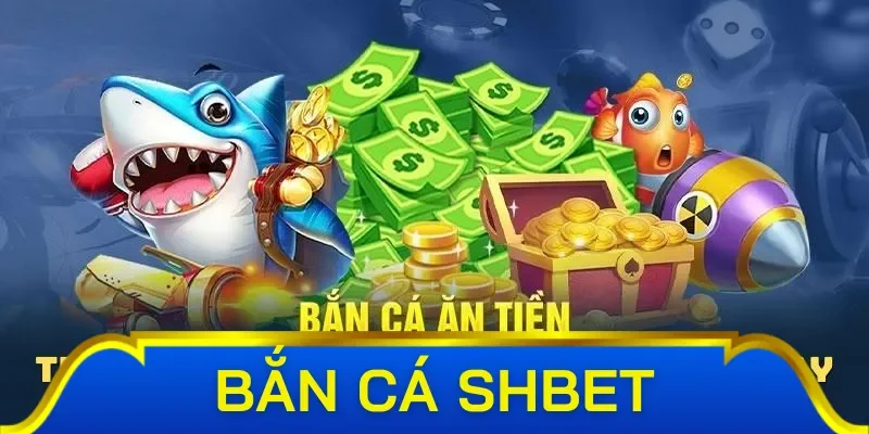 Luật săn cá tại Sh Bet mới nhất cho hội viên