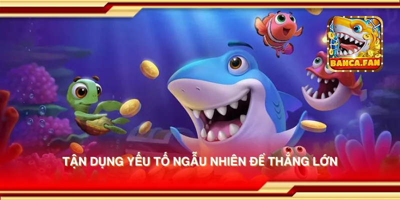 Tận dụng yếu tố ngẫu nhiên để thắng lớn